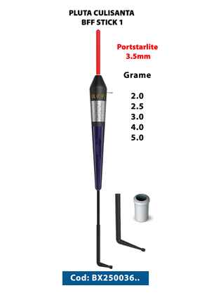 PLUTA CULISANTA BFF STICK 1 3.0GR Portstarlite 3mm