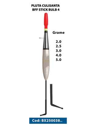 PLUTA CULISANTA BFF STICK BULB 4 2.0GR 