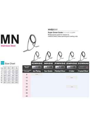 INEL FUJI SIC MNSG NR 20