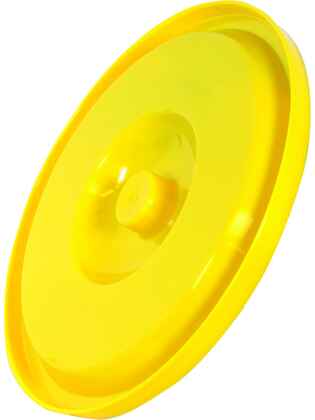 CAPAC GALEATA GALBEN 17 L