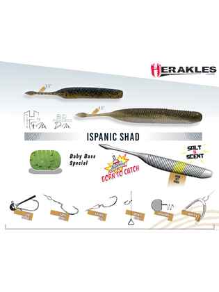 SHAD ISPANIC 4.5" 11.4cm Baby Bass Special