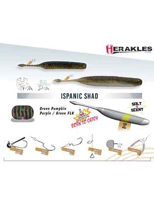 SHAD ISPANIC 4.5" 11.4cm Green Pumkin Purple/Green Flk