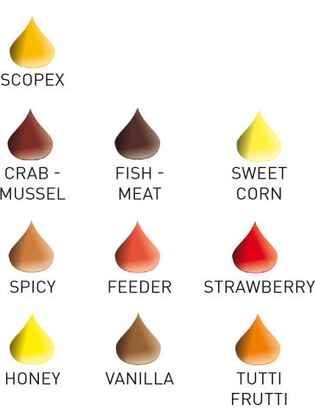 EXPRESS ATRACTOR 50ml Honey