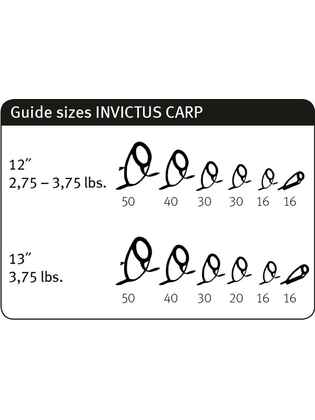 INVICTUS CARP 12FT 3.66M 3.75lbs