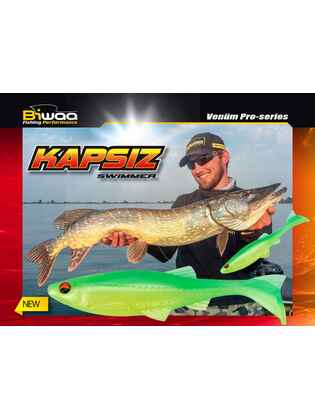 SHAD KAPSIZ 5 12.7cm 206 Golden Shiner