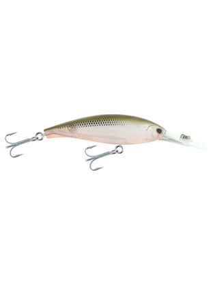 ARASHI TIGER 10 GREEN-O SHAD