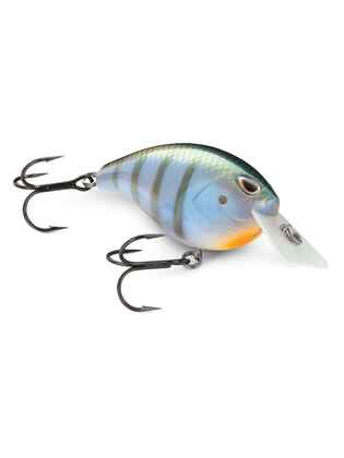 Arashi Rattling Square 05 680