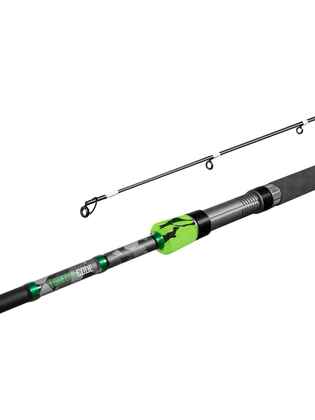 Delphin GreenCODE 255cm/40g/2 tronsoane