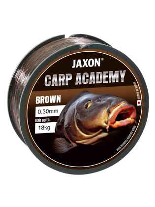 FIR CARP ACADEMY BROWN 300m 0.35mm 23kg