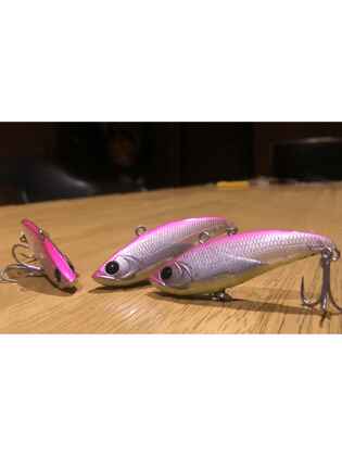 APIA UPRIZING 59 12gr 59mm 03 Bora