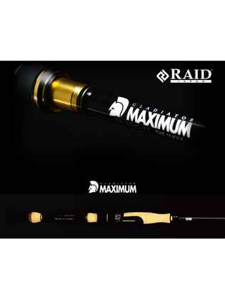 RAID MAXIMUM GX-64LS-ST MAXX QUEEN 193cm 7gr