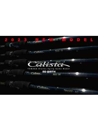 CALISTA 86M/PF 2.573m 28gr Fuji Titanium Torzite