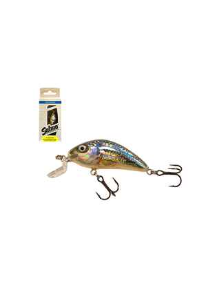 SALMO WOBBLER RATTLIN HORNET H4.5SR SSH