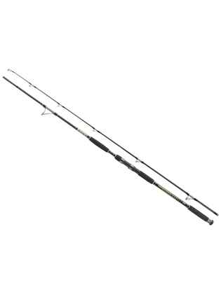 Lanseta Jaxon Antris HTI Catfish Spin, 2.70m, 50-120g