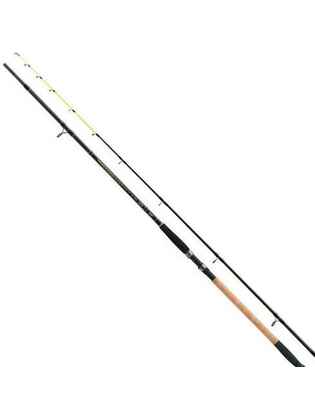 Lanseta Jaxon Antris HTI Boat Power Tip 2.40m/50-150g