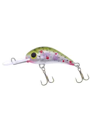 Gloog Parys 40N, 4cm, 2.5gr (Floating), TR1 (Trout Rainbow 1)