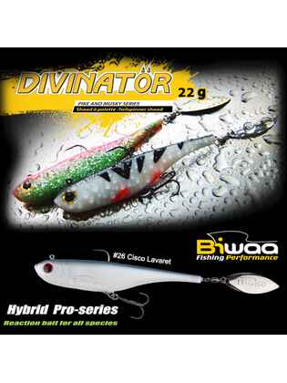 SHAD DIVINATOR JUNIOR 14cm 22gr 26 Cisco Lavaret