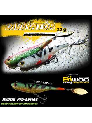 SHAD DIVINATOR MEDIUM 18cm 35gr 30 Silver Zander