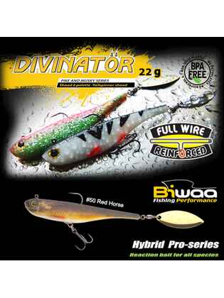 SHAD DIVINATOR JUNIOR 14cm 22gr 50 Red Horse