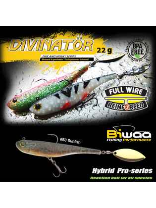 SHAD DIVINATOR JUNIOR 14cm 22gr 53 Sunfish