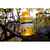 Aditiv Lichid 2.20 Baits Nutritiv Supreme, 250ml, Sweet Corn