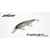 EVERGREEN FAITH 87 8.7cm 8.5gr #362 COLD SHAD