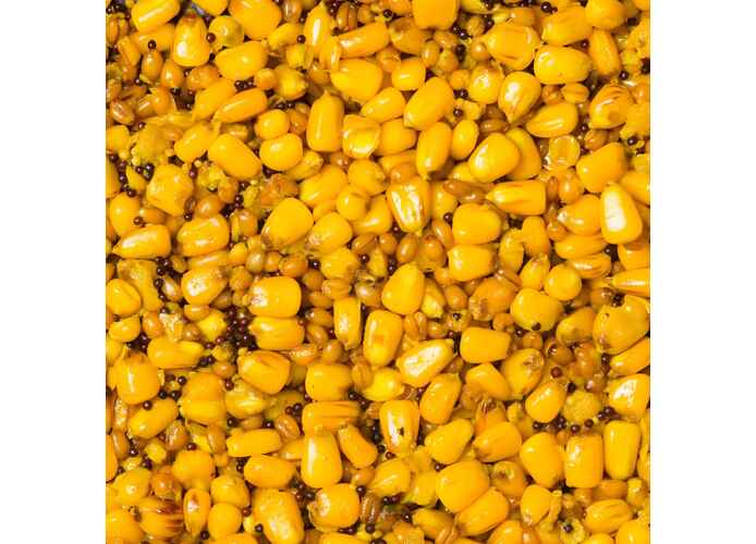 Seminte Senzor Planet MIERE 800g