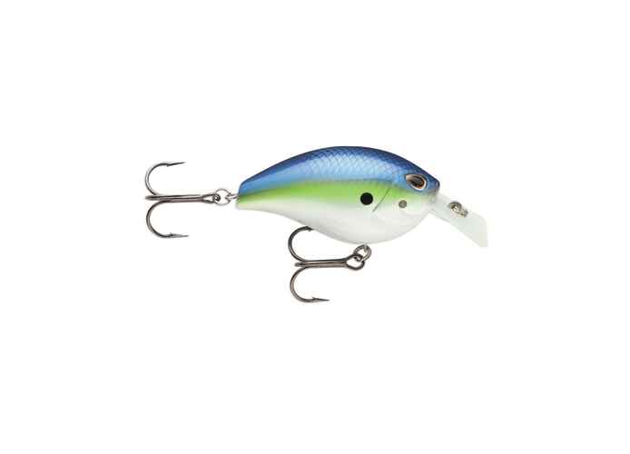 Arashi Silent Square 03 612