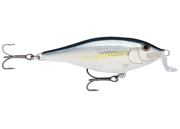 SHALLOW SHAD RAP