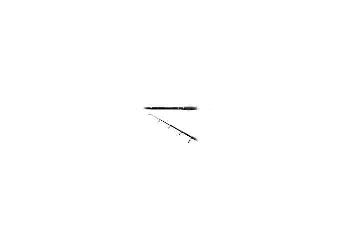 LANSETA CARP EXPERT ADVANCER TELE 40-80G 3,00M