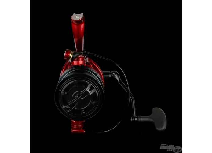 By Dome Mulineta Master Long Cast 6600