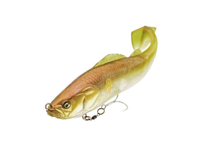 ADUSTA PICK TAIL SWIMMER 6 15cm 43gr 209 Roach
