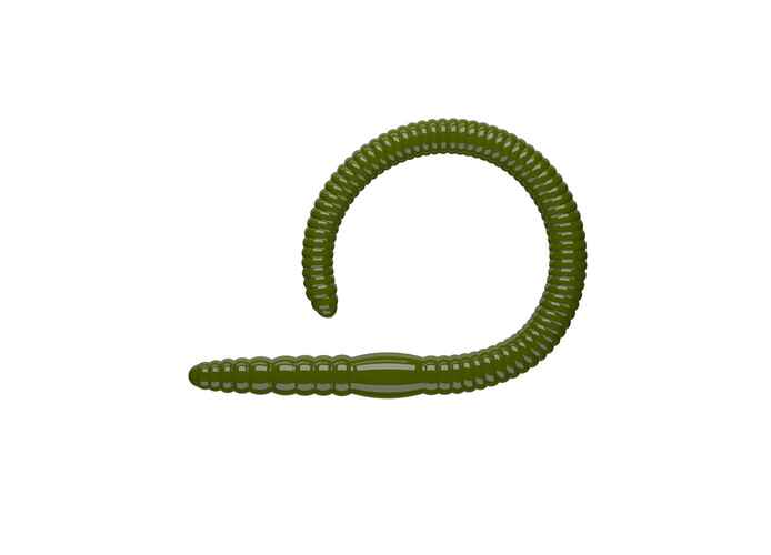 Naluca Pastrav Flex Worm 95mm *(10) Libra Lures : Culoare - 031