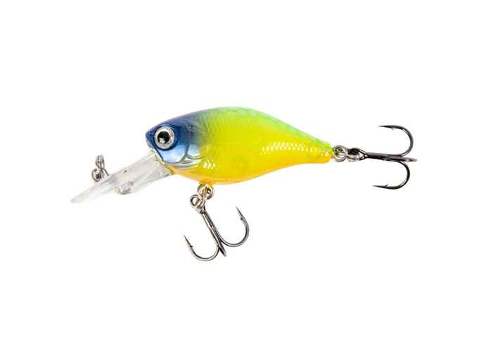 Lucky John CHUBBY 4DRF : Culoare - 019