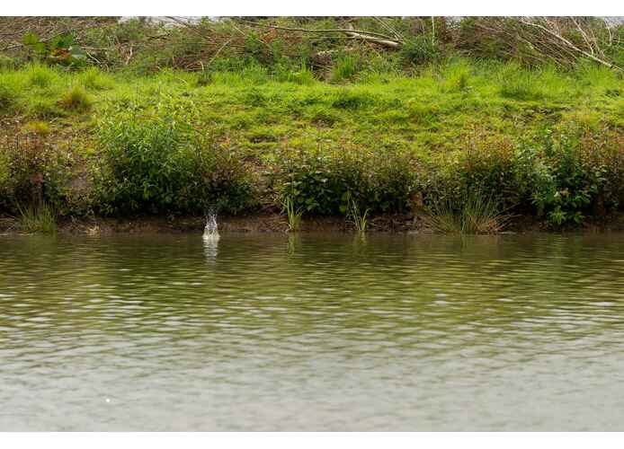 Method Feeder Preston ICS Dura Flat, Medium, 45g