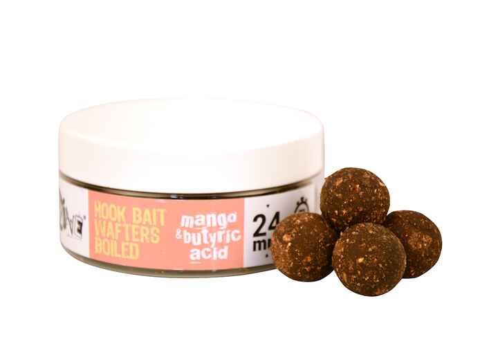 THE BIG ONE HOOK BAIT WAFTERS BOILIE MANGO N BUTYRIC ACID  2