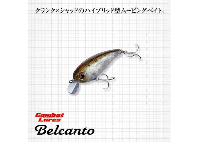 EVERGREEN BELCANTO 6.3cm 10gr #66 FLASH CROWN
