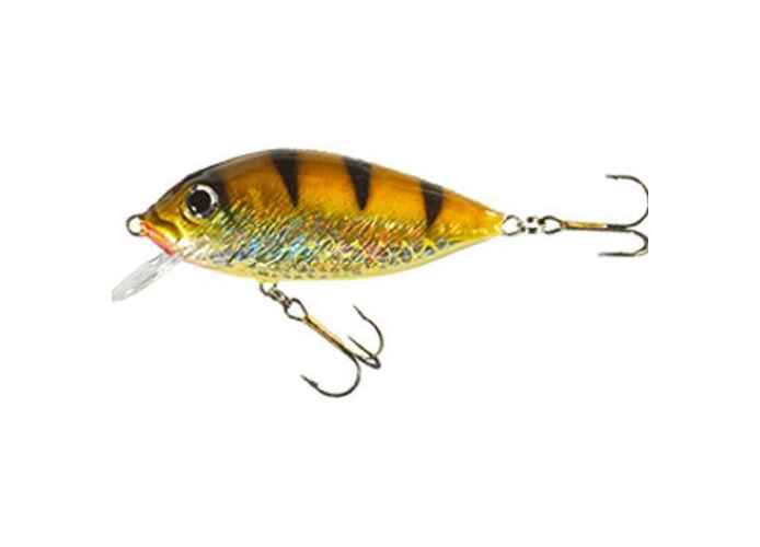 Vobler Jaxon Tingo 5F OB