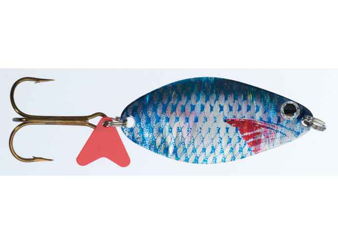 OSCILANTA HS ALGA SCOT 1F 12GR 