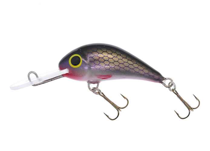 Gloog Parys 40N, 4cm, 2.5gr (Floating), R (Roach)