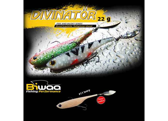 SHAD DIVINATOR JUNIOR 14cm 22gr 11 Ivory
