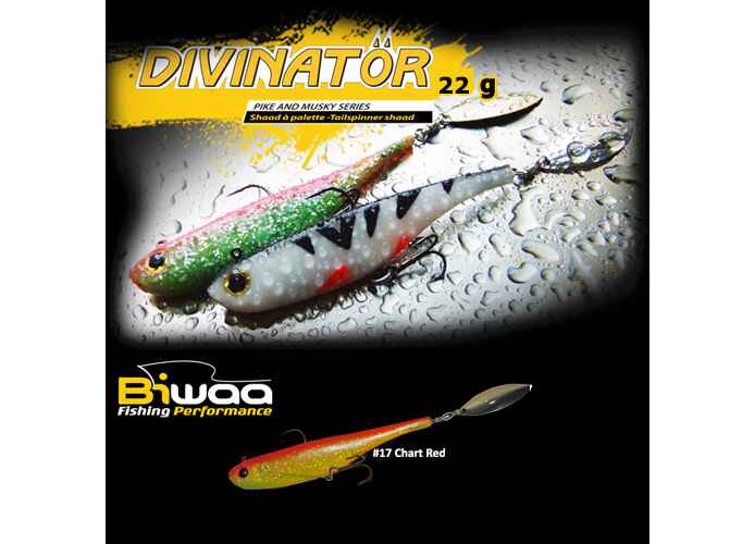 Shad Biwaa Divinator Medium 18cm/35g, culoare Chart Red Back
