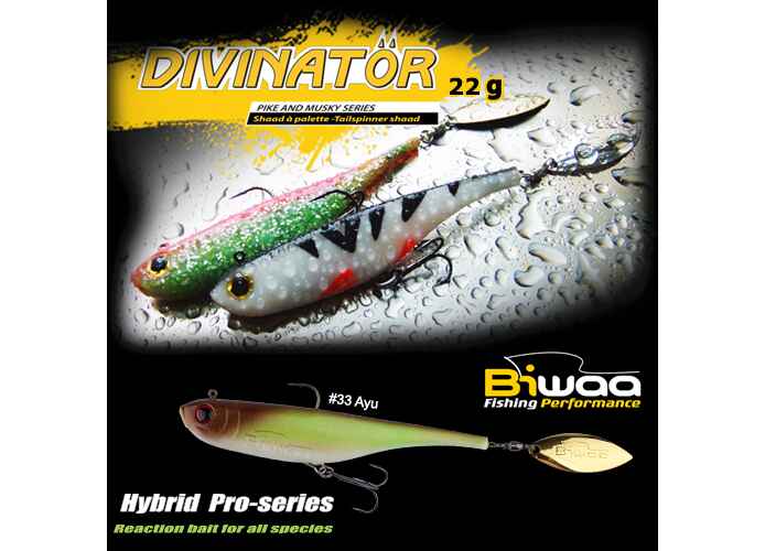 SHAD DIVINATOR JUNIOR 14cm 22gr 33 Ayu