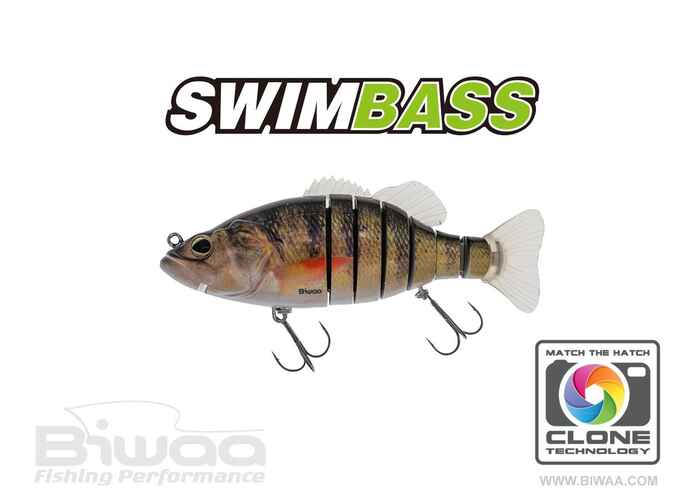 SWIMBASS 6 SLOW SINK 15cm 65gr 02 Real Perch