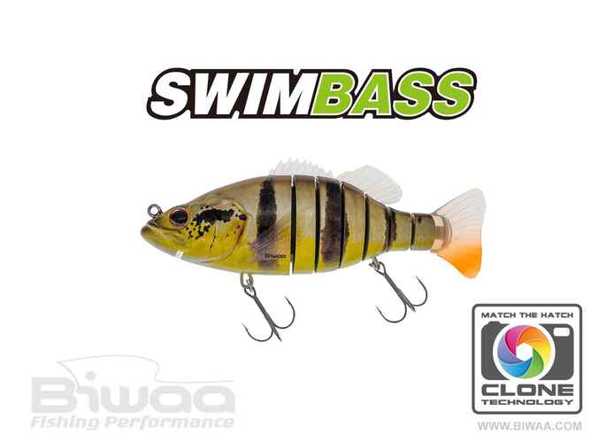 SWIMBASS 6 SLOW SINK 15cm 65gr 37 Peacock