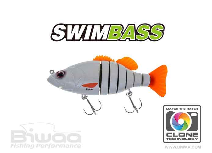 SWIMBASS 6 SLOW SINK 15cm 65gr 29 Pearl White