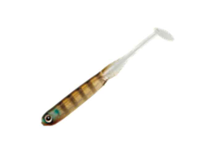 SHAD TIEMCO PDL SUPER SHAD TAIL ECO 4" 10cm Culoare 24