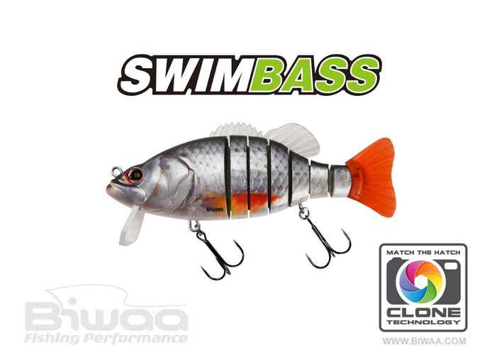 SWIMBASS 6 SLOW SINK 15cm 65gr 38 Roach