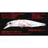 DUO REALIS JERKBAIT 100F 10cm 13.7gr ASAZ398 C Yellow Silver Tiger