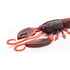 ADUSTA GADGET CRAW 3.8 9.6cm 011 Scappanon